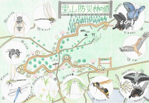 里山防災林の道～芋掘りハイキングロード～（和田侑佳　関西創価高等学校）