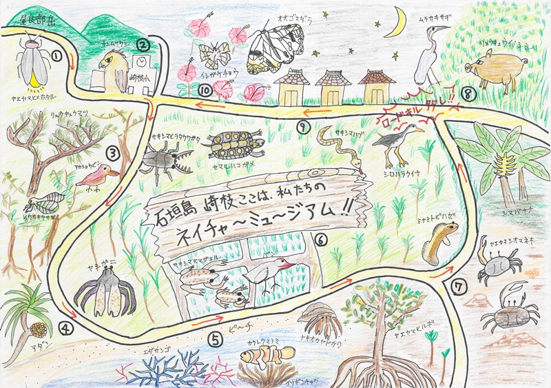 団体の部_環境大臣賞『石垣島崎枝 ここは私たちのネイチャーミュージアム!!』
