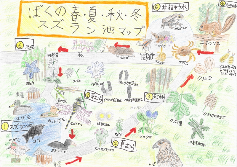 小学生の部_環境大臣賞『ぼくの春・夏・秋・冬 スズラン池マップ』